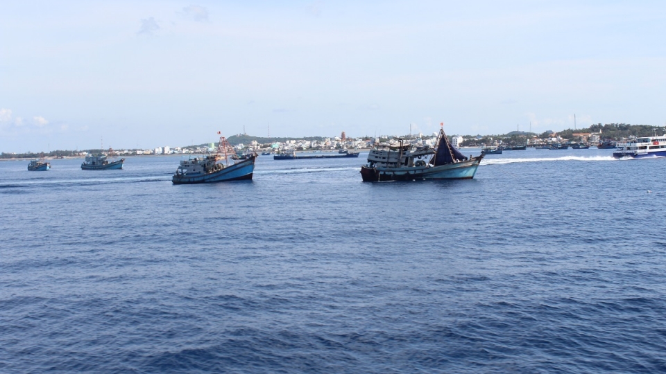 IMG_6984.JPG