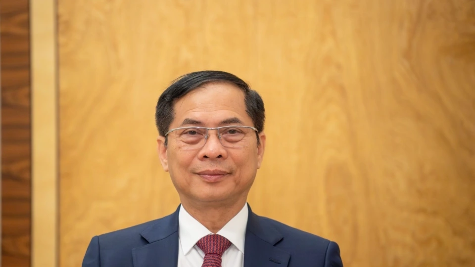 pho_thu_tuong_bo_truong_bo_ngoai_giao_bui_thanh_son.jpeg
