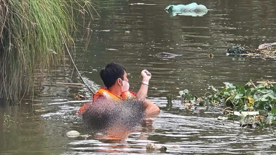 h1.jpeg