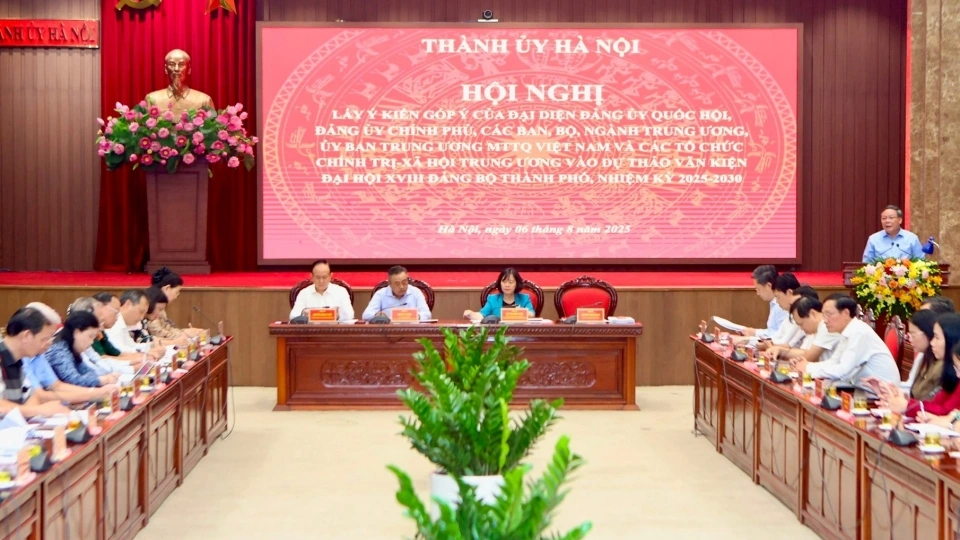 toan_canh_hoi_nghi.jpeg