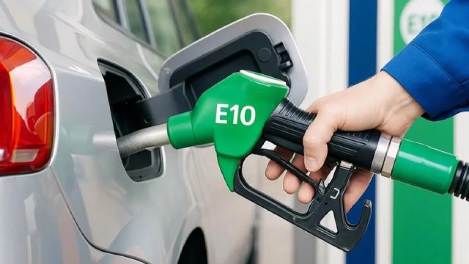 xang-e10-vneconomyautomotive.jpeg
