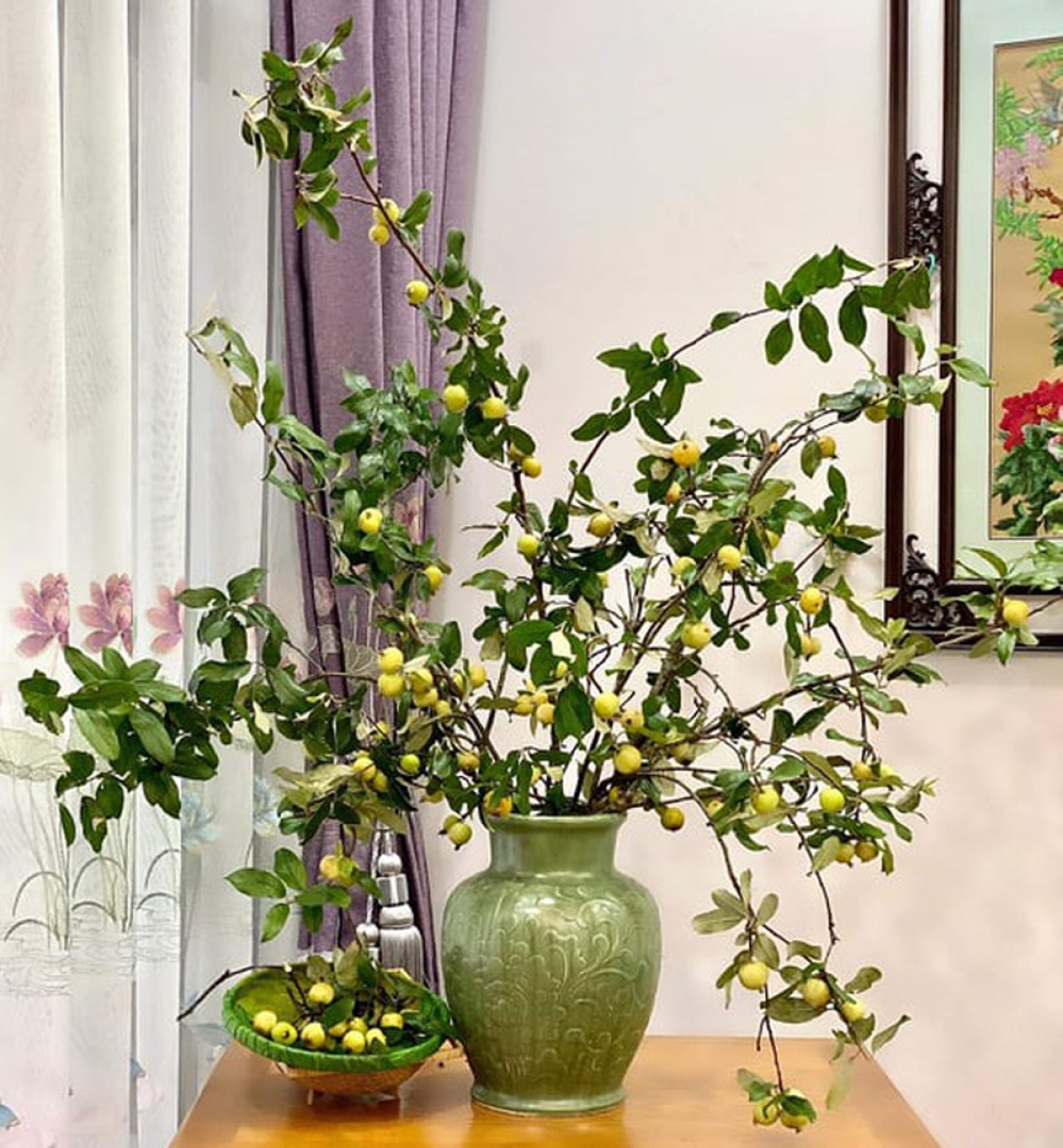 cành táo mèo tươi rất dễ chăm sóc, chỉ cần cắm trong bình đủ nước, thay nước 2-3 ngày/lần là chơi được tầm 1 tháng. (Ảnh: Dân trí)