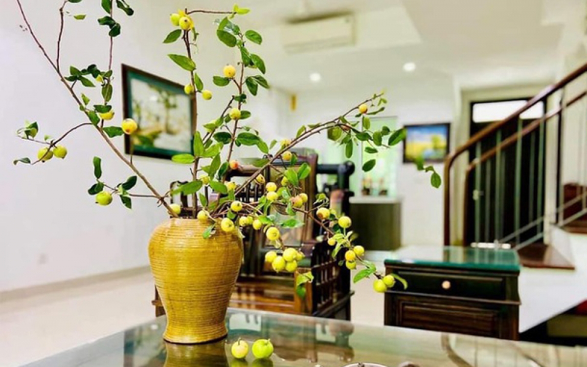 Những cành táo mèo tươi đang được rao bán nhiều trên mạng với giá trung bình từ 20.000 - 60.000 đồng/cành. (Ảnh: Dân trí)