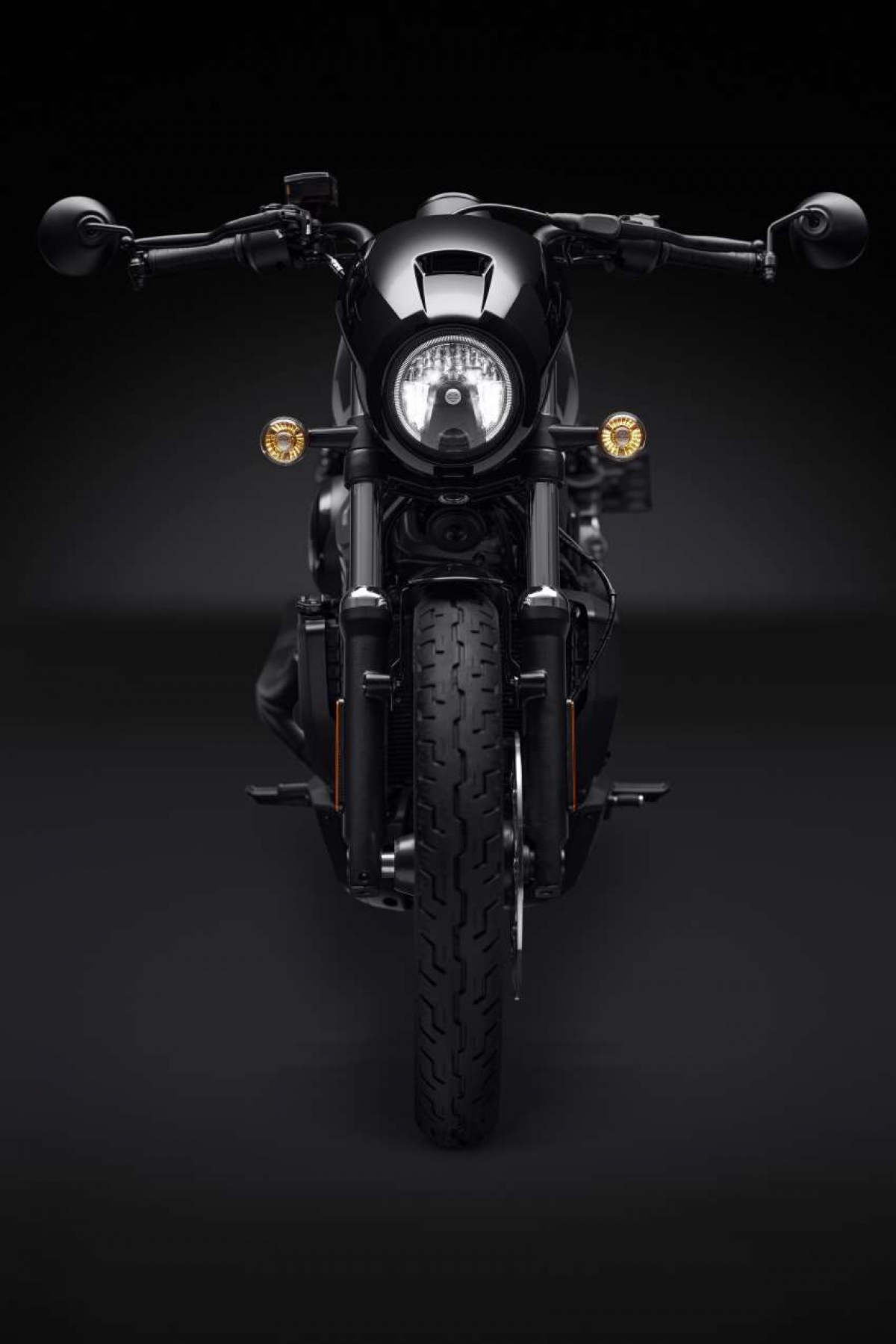 harley davidson nightster 2022 chinh thuc ra mat gia gan nua ty dong hinh anh 3