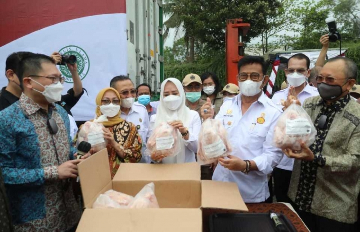 indonesia giúp singapore giải bài toán thiếu hụt gà hình ảnh 1 indonesia giup singapore giai bai toan thieu hut ga hinh anh 1