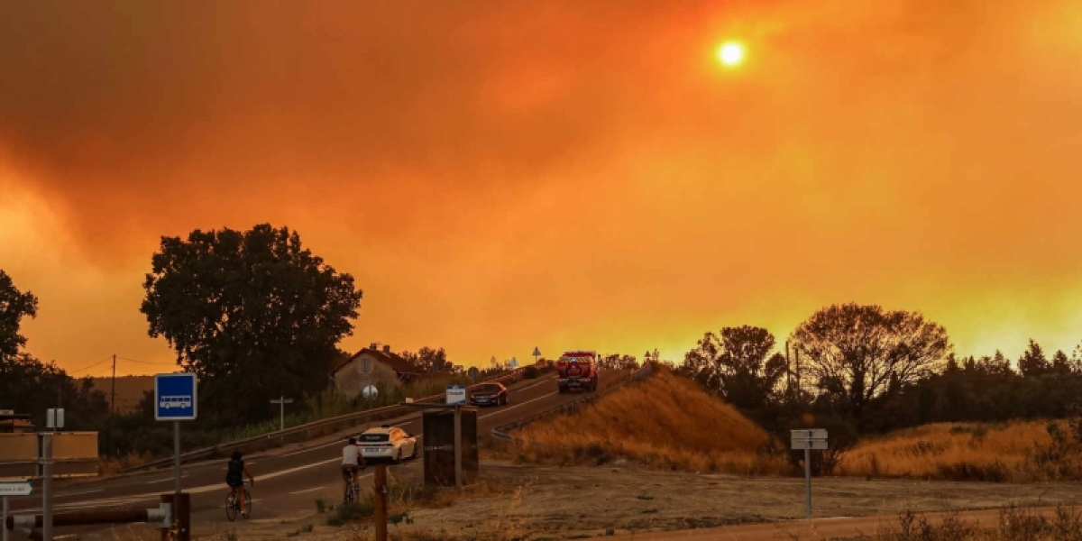 pháp hứng chịu đợt nắng nóng kéo dài, cháy rừng lan rộng hình ảnh 1 phap hung chiu dot nang nong keo dai, chay rung lan rong hinh anh 1