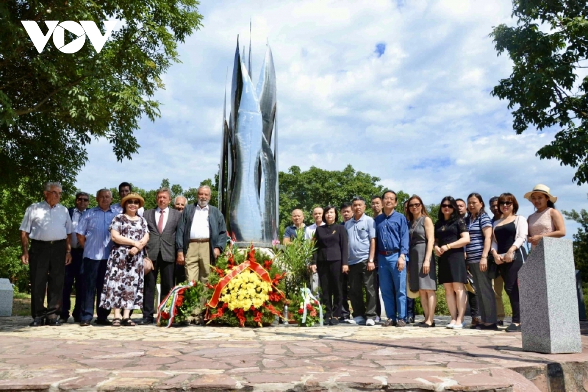 thuc day quan he doi tac toan dien giua viet nam-hungary hinh anh 2