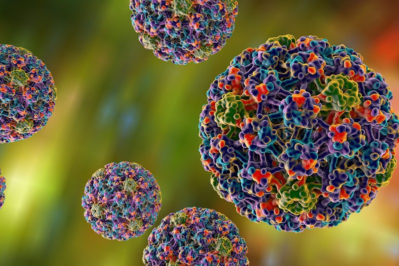 tai sao phu nu nen tiem vaccine ngua hpv? hinh 1