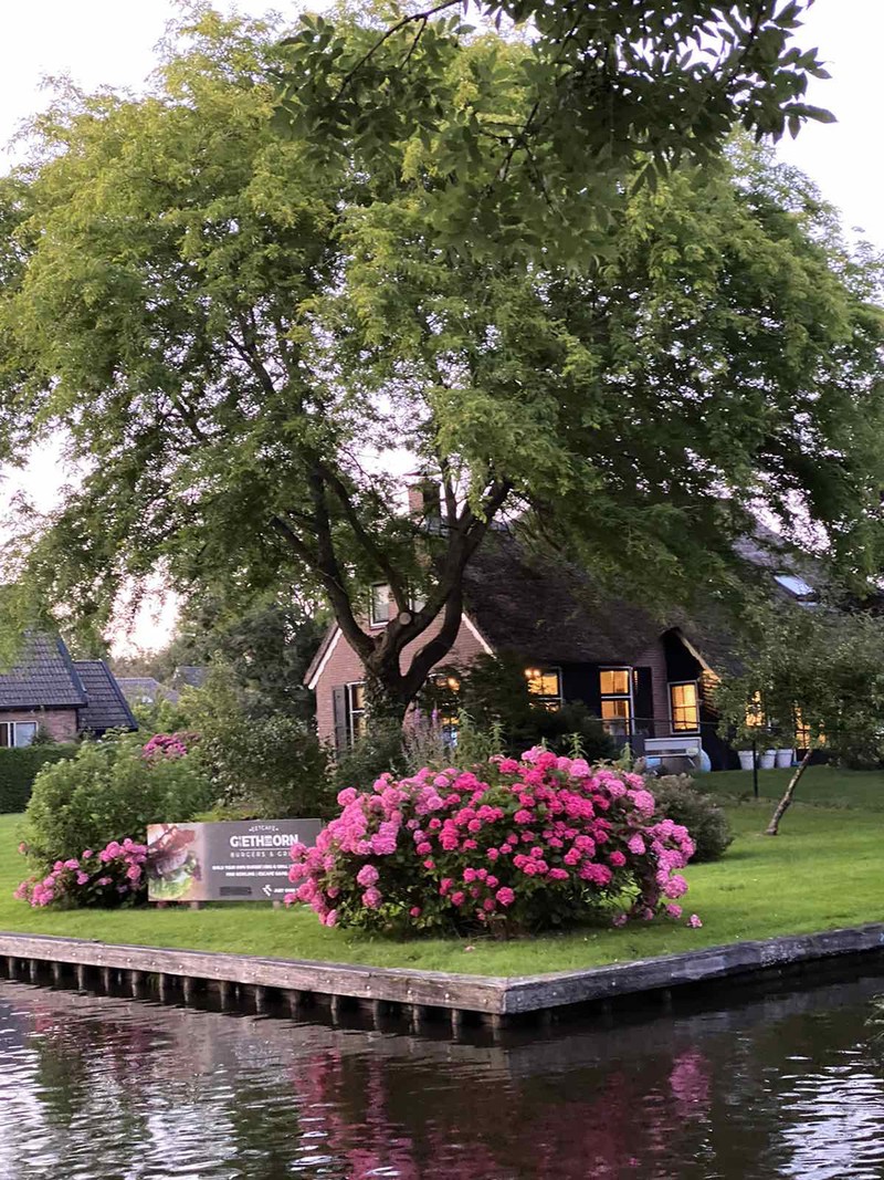ve dep dac sac cua ngoi lang "co tich" giethoorn giua dich covid-19 hinh 14
