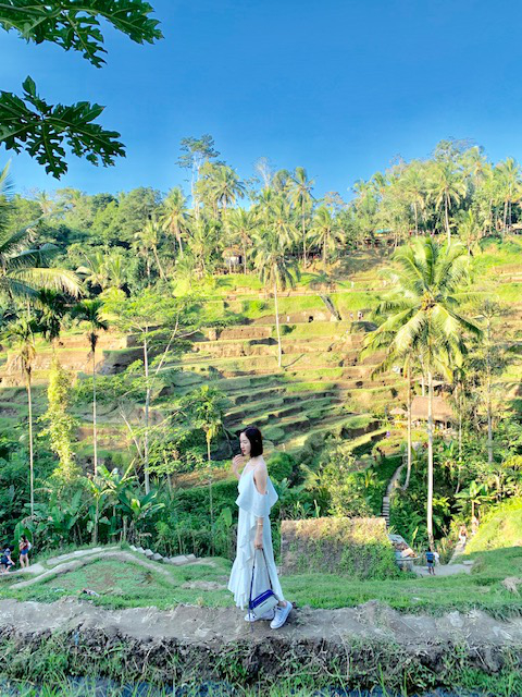 a hau ha thu "lot xac" nong bong trong chuyen du ngoan bali hinh 3
