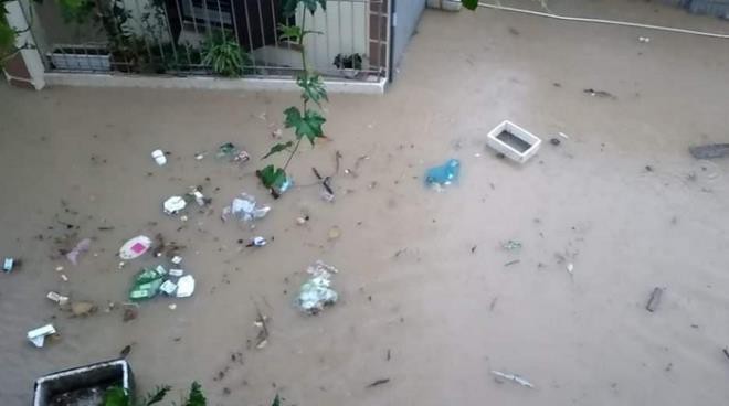 anh: quang ninh nuoc ngap menh mong, bo cho con ngoi chau dua di so tan hinh 8