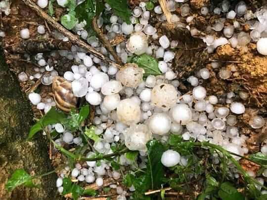son la nhieu noi mua lon, canh bao sat lo dat da hinh 1