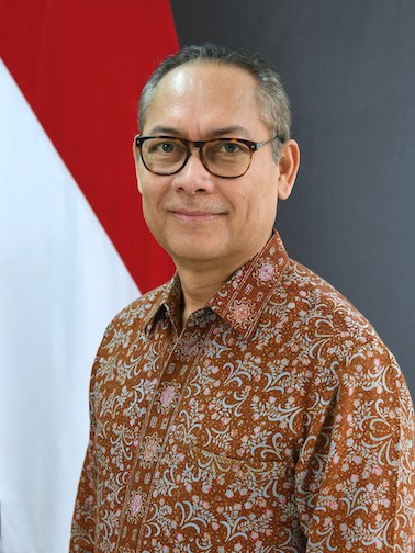 indonesia danh gia cao viet nam trong no luc cung asean chong covid-19 hinh 1
