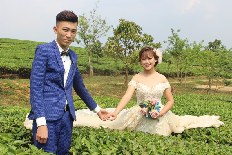 choang ngop truoc nhung doi che xanh ngut mat tren cao nguyen moc chau hinh 5