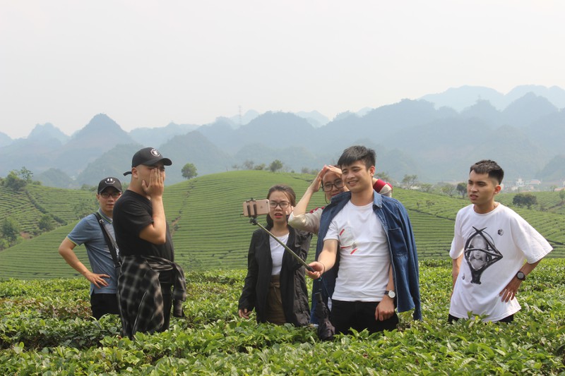 choang ngop truoc nhung doi che xanh ngut mat tren cao nguyen moc chau hinh 6
