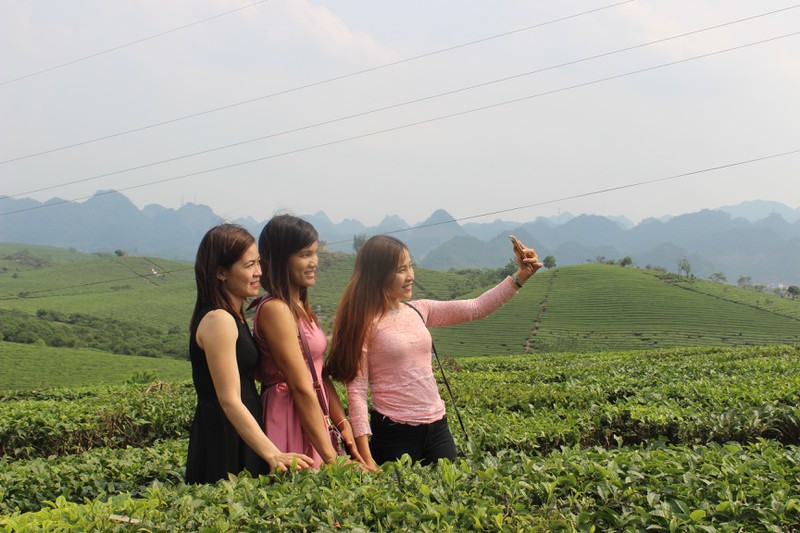 choang ngop truoc nhung doi che xanh ngut mat tren cao nguyen moc chau hinh 7