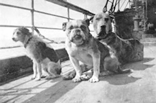 tham kich titanic va nhung bi mat it nguoi biet hinh 12
