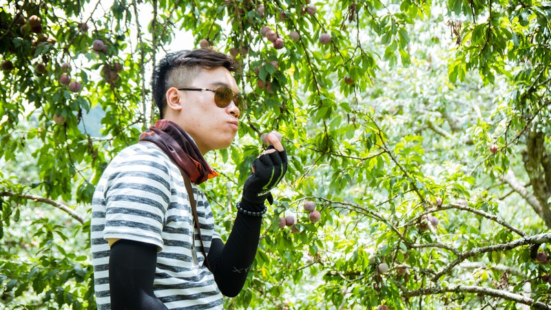 mua man o moc chau hinh 10