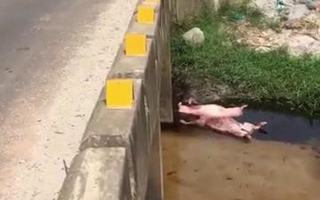 nong 24h: vu thi the nu sinh duoi muong nuoc co dau hieu an mang hinh 2
