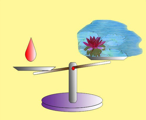 Dưỡng Linh  GIỌT MÁU TÌNH YÊU