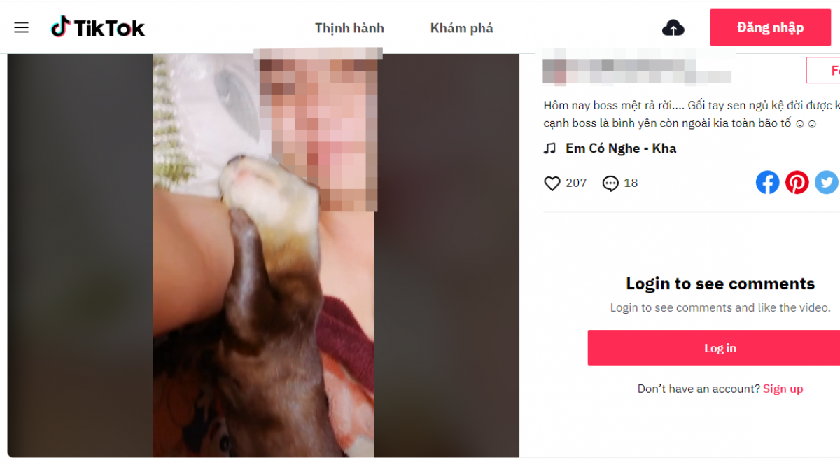 Thuận rao bán rái cá trên các nền tảng mạng xã hội