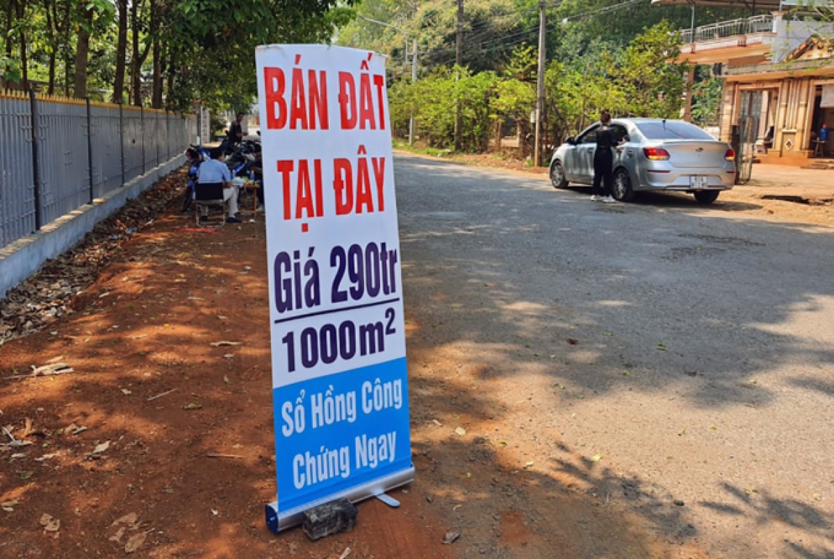 Năm 2021, thị trường vài lần chứng kiến giá đất tăng dựng đứng