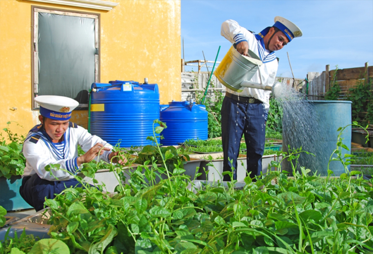 Cán bộ chiến sĩ đảo Đá Lớn B chăm sóc vườn rau.