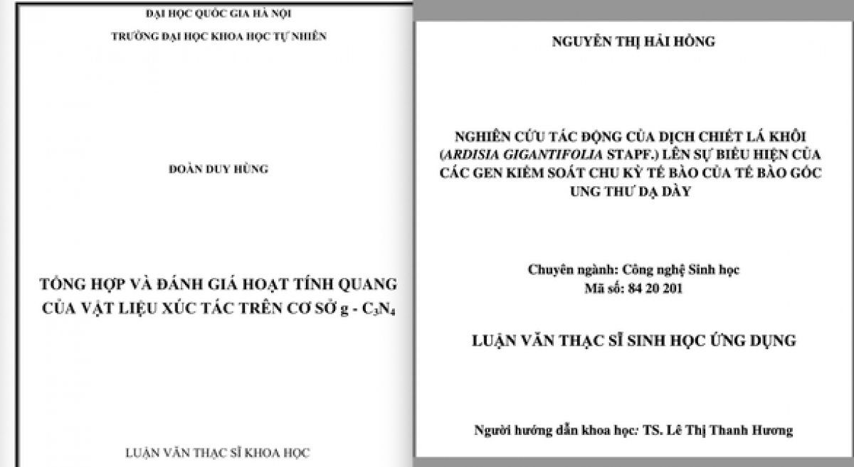 Hai dự án đoạt giải nhất được cho là giống luận văn thạc sĩ đã được bảo vệ trước đó. (Ảnh: tuoitre.vn)