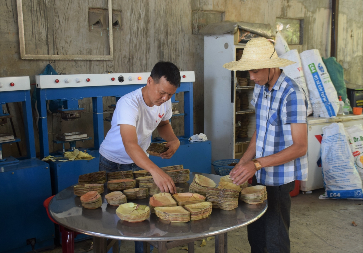 Anh Nguyễn Văn Tuyến sắp sếp các sản phẩm từ lá tra mới sản xuất
