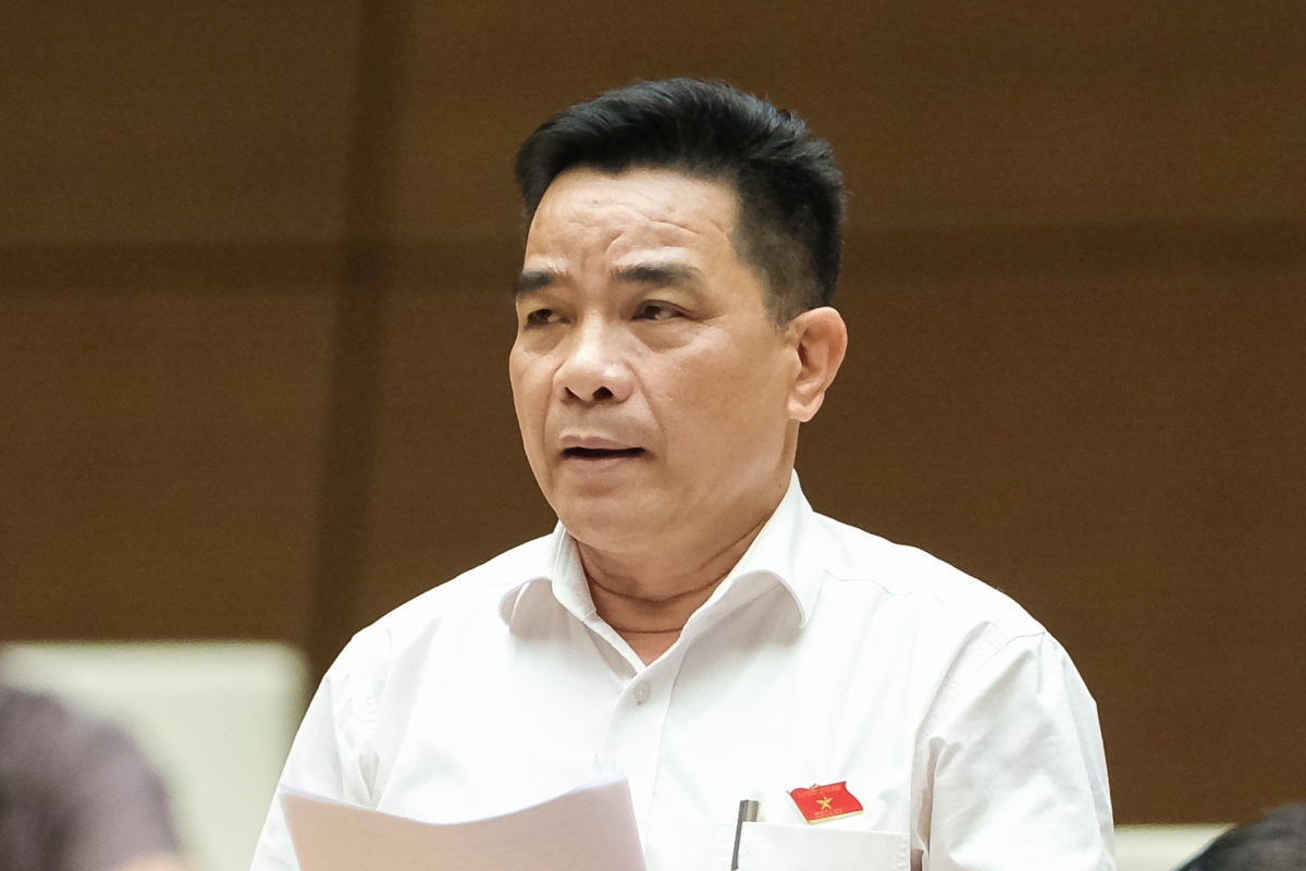                           Đại biểu Lê Văn Dũng (Quảng Nam)                                   Ảnh: quochoi.vn