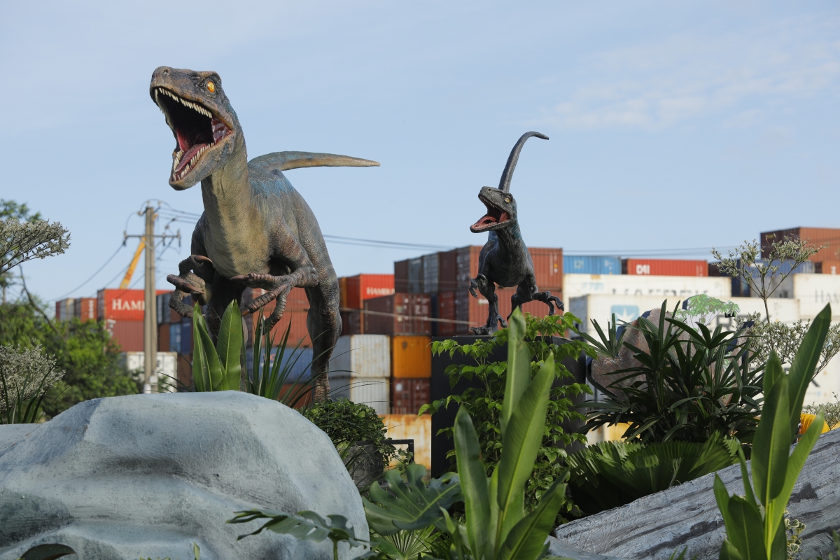 Hai chú khủng long được trưng bày thuộc chủng loại Velociraptor (gọi tắt là Raptor) với đặc tính di chuyển vô cùng nhanh nhẹn, thông minh, linh hoạt.