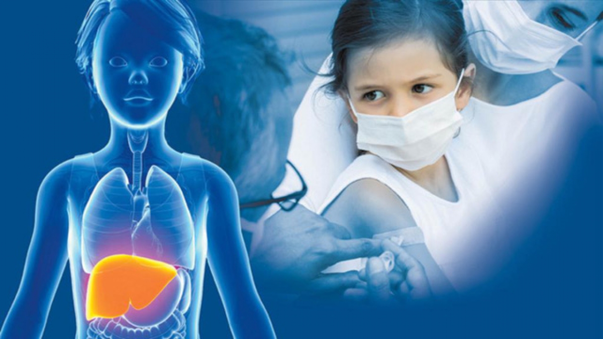Bộ Y tế yêu cầu  Sở Y tế các địa phương tăng cường lấy mẫu xét nghiệm các trường hợp nghi ngờ viêm gan cấp tính không rõ nguyên nhân, khám, sàng lọc phát hiện sớm các trường hợp nhiễm virus viêm gan để điều trị, quản lý kịp thời hạn chế biến chứng...