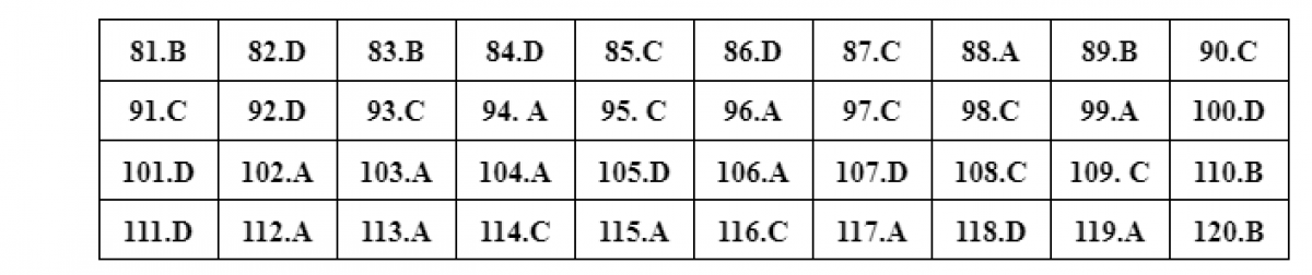 Mã đề 305