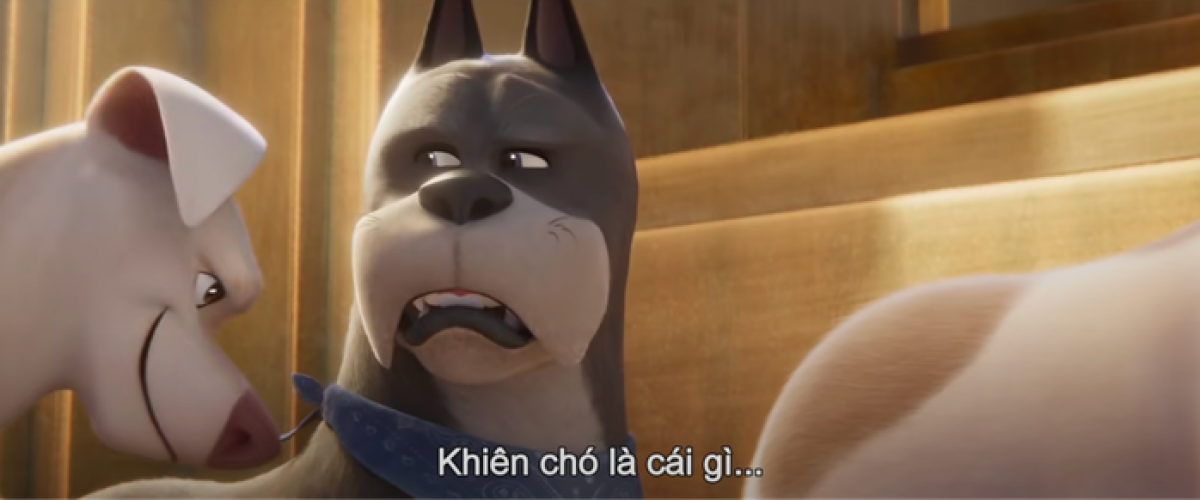 Ace: Khiên chó là cái gì…