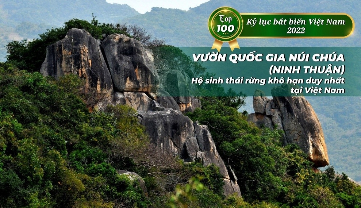 Vườn quốc gia Núi Chúa (Ninh Thuận) là khu dự trữ sinh quyển thế giới duy nhất ở Việt Nam đại diện cho hệ sinh thái rừng khô hạn nhiệt đới