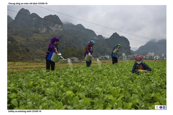 Bộ Y Tế và UNDP kêu gọi người dân phòng, chống COVID-19 để phát triển kinh tế bền vững - ảnh 7
