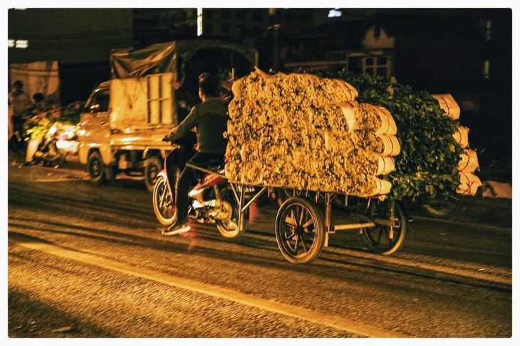 Nhộn nhịp chợ hoa đêm Quảng An những ngày giáp Tết - ảnh 13