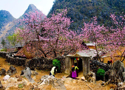 Mùa xuân – Tổ quốc và Mẹ - ảnh 7
