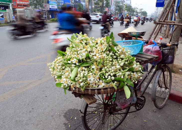 Sắc màu mộng giữa xuân Hà Nội phố - ảnh 4