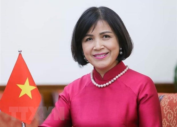Việt Nam tham dự Phiên Rà soát chính sách thương mại lần thứ 2 của Myanmar tại WTO - ảnh 1