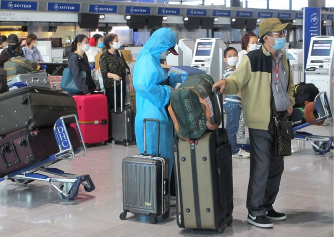 Đưa hơn gần 300 công dân Việt Nam từ Nhật Bản, Indonesia về nước - ảnh 1