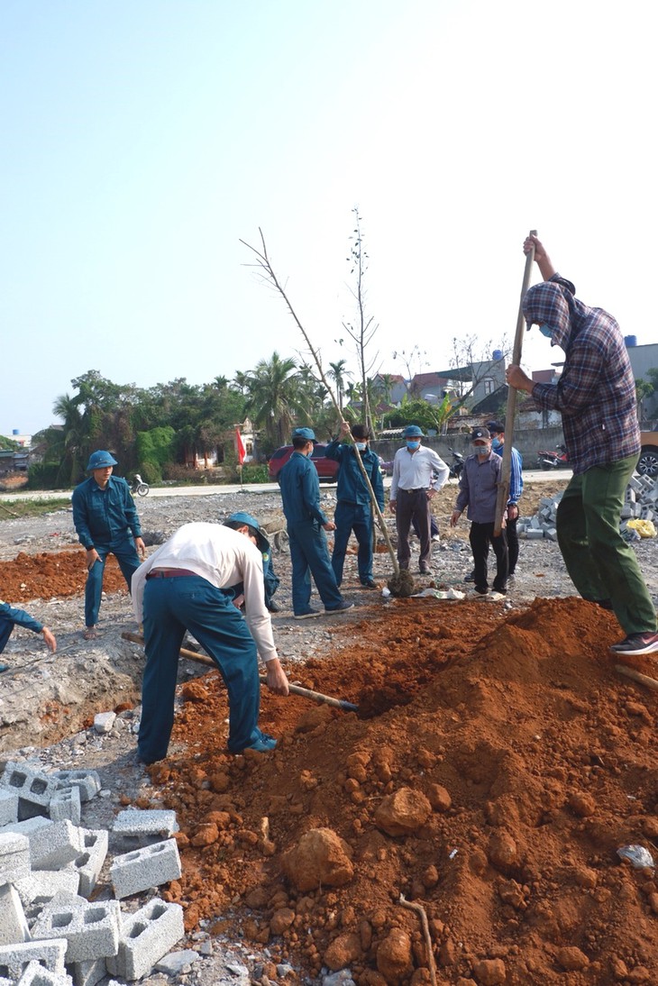 Góp thêm màu xanh cho vùng đất xứ Thanh - ảnh 3