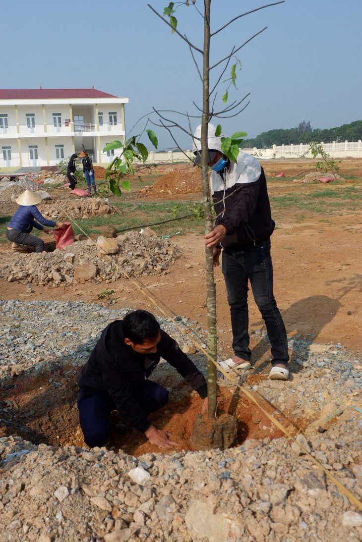 Góp thêm màu xanh cho vùng đất xứ Thanh - ảnh 4