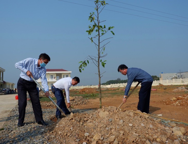 Góp thêm màu xanh cho vùng đất xứ Thanh - ảnh 5