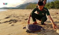 thả 5 cá thể trăn gấm quý hiếm về rừng hình 2