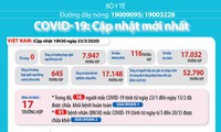 phó thủ tướng vũ đức đam: "tổ chức 2 cánh quân chống dịch covid-19" hình 2