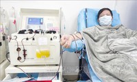 chuyên gia phân tích việc sử dụng huyết tương điều trị covid-19 hình 2