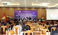 tổng thư ký vff thừa nhận có dấu hiệu dàn xếp tỷ số ở giải u19 qg 2019 hình 2