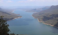 đau lòng chuyện bác sĩ phải bắn hạ những chú chuột túi trong cháy rừng hình 3