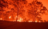 australia hỗ trợ các doanh nghiệp nhỏ sau thảm họa cháy rừng hình 2